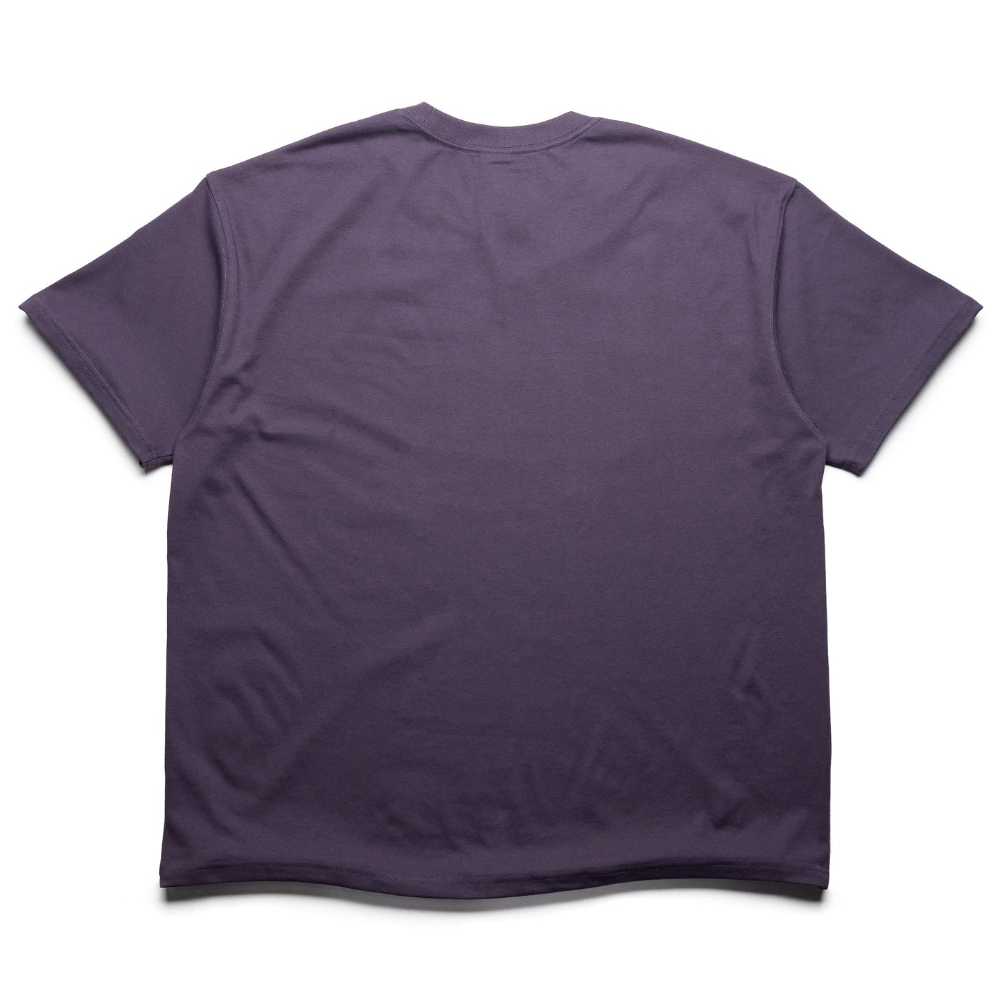 Nike ACG OC Frontier Tee - Dark Raisin